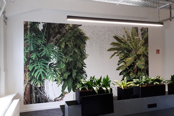 indoor wwall printing indoor wwall printing